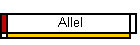 Allel