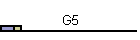 G5